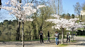 アンジェ | ニコラ公園