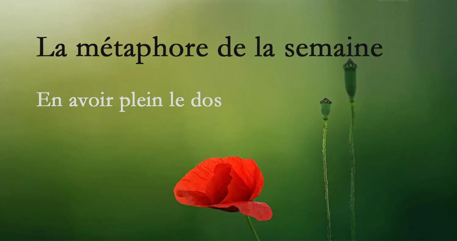 métaphore-1