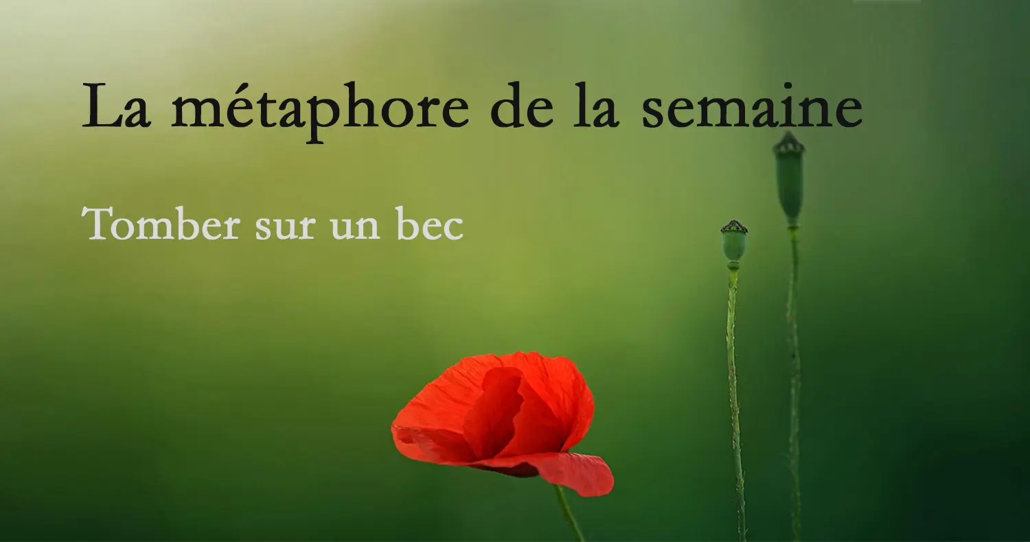 métaphore-1