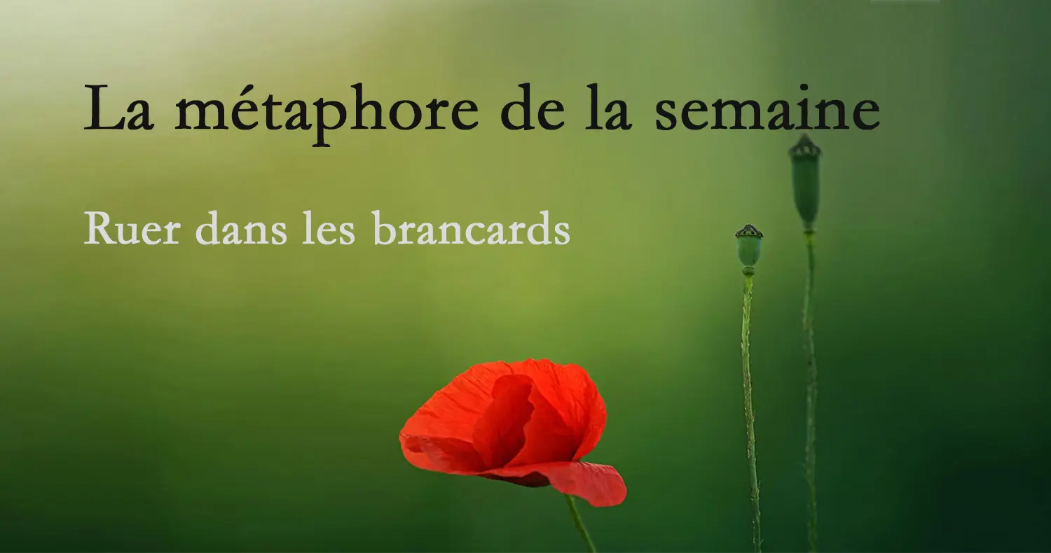 métaphore-1